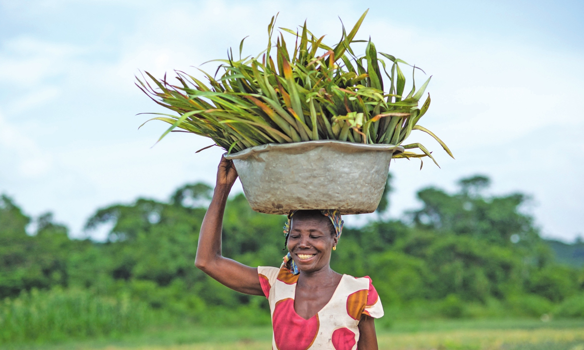 FarmSmart Ghana — An AI farming companion for crop diagnosis, weather-aware advice, irrigation planning and market prices — usable offline and by voice.